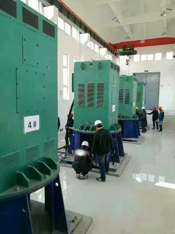 Y5001-8某污水处理厂使用我厂的立式高压电机安装现场质量怎么样