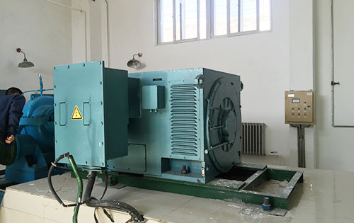 Y5001-8某水电站工程主水泵使用我公司高压电机