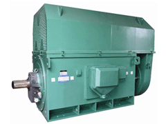 Y5001-8Y系列6KV高压电机
