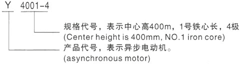 西安泰富西玛Y系列(H355-1000)高压Y5001-8三相异步电机型号说明