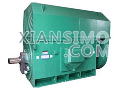 Y5001-8YXKK(2极)高效高压电机技术参数